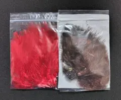 Item thumbnail for item 6f83f4be-29f6-4933-8960-3b24b1e27a14