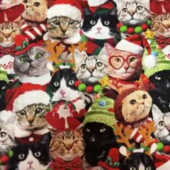 タイムレストレジャー生地　クリスマスキャット110×45