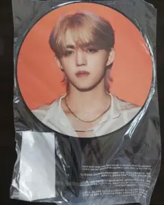 SEVENTEEN エスクプス うちわ be the sun