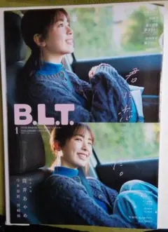 Item thumbnail for item 5d80bd33-e3a1-43ab-a549-7a182fb80716