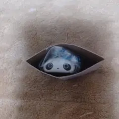 【本日発送】サンエックスユニバース チャームつきグミ たれぱんだ