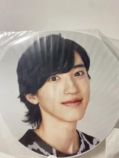 【最終値下げ】なにわ男子 道枝駿佑 うちわ ちびぬい 公式写真