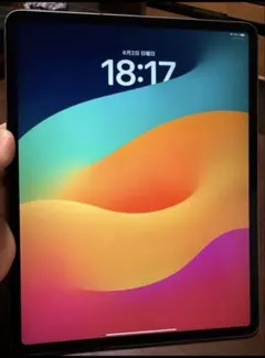 iPad Pro12.9第3世代Wi-Fi+Cellular256G
