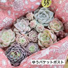 田代様 リクエスト 2点 まとめ商品