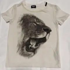 5-1 Dolce & Gabbanaドルガバ Tシャツ 4Aのサムネイル