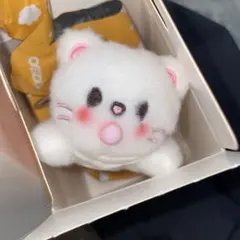 ヒョンジン　skzoo secret wind up plush run itのサムネイル