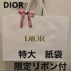 ディオール　大ショッパー 41UJyPTjDtL._AC_UF350,