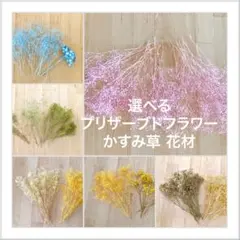 かすみ草 選べる素材セット プリザーブドフラワー