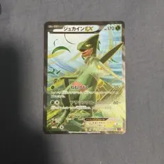 MジュカインEX SR XY7 バンデットリング 083/081 - メルカリ