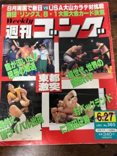 週刊ゴング　1991年6月27日　No.365