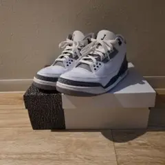 Nike Air Jordan 3 Retro 26.0㎝