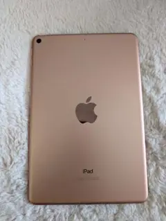 iPad mini 第5世代