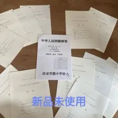 未記入 くもん 公文式 算数 数学 E教材 100枚 分数 小学5年生 - メルカリ
