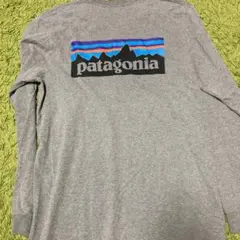 パタゴニア patagonia 長tシャツ ロングスリーブ　サイズ表記M