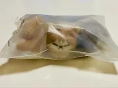 リノ StrayKids スキズ スンドゥンドリ マスコット メンプロ