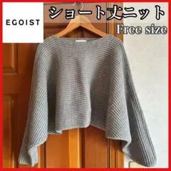 EGOIST エゴイスト ショート丈ニット セーター クロップド 厚手ニット