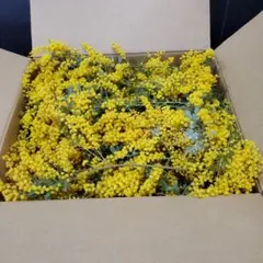 TOMO3 no AOiTE様ご確認用♡嵐マークピアスイヤリング - メルカリ