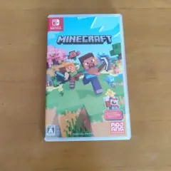 Minecraft Nintendo Switch版