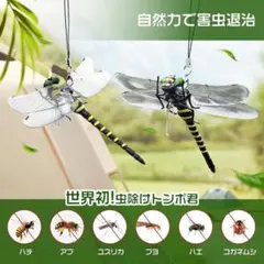 Item thumbnail for item 387bf3c0-a479-4780-931a-35f3eb85f7d8