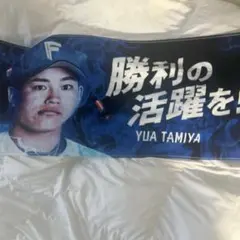 Item thumbnail for item a0eace73-884e-40e6-a5a7-01b1d19fae5b