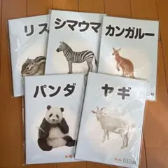 【新品未使用】知育 絵本 動物 全20冊