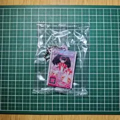 アイカツ！ プリパラ だれでもアクリルチャーム1 ガァルル