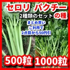 Ciao！様 リクエスト 2点 まとめ商品