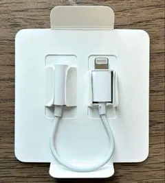 【Lightning】Apple純正イヤホンジャック/ Anker充電ケーブル