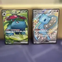 フシギバナex フシギダネ　２枚セット フシギバナex フシギダネ 2枚セット フシギバナex」の人気商品