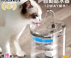 애완 동물 물 디스펜서