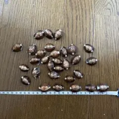 Item thumbnail for item a4d6fc99-ccec-447c-ad9a-81b358b27a43