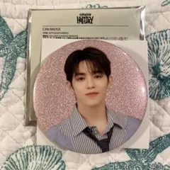 SEVENTEEN セブチ holiday ペンミ 缶バッジ エスクプス