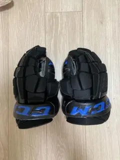 Item thumbnail for item 8ea199ea-d309-4c9f-989c-c396e0edd87a