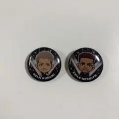 EXILE ライブグッズ 缶バッチ