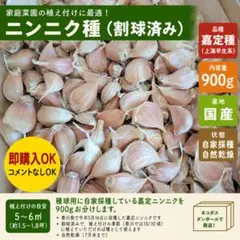 嘉定ニンニク900g 種球用 種用 割球済 自家採種 自然乾燥 - メルカリ