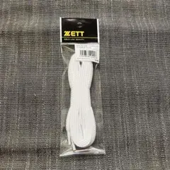 Item thumbnail for item f4fa3c68-dbb6-4a16-b46b-5adba71bae6a