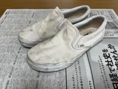 Item thumbnail for item f1466efb-8b6f-48b3-8d90-e0d5846296e0