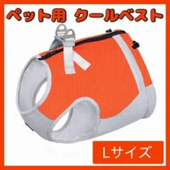 Item thumbnail for item f78bc9bd-d825-4ab9-8b89-d687ae30fc8d