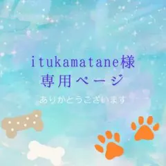 itukamatane様 リクエスト 5点 まとめ商品