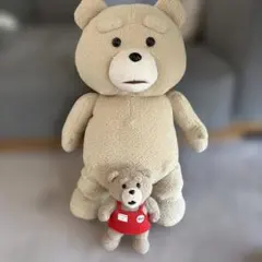 Item thumbnail for item 1f5498c6-fa7e-40a2-aebc-7823a288c867