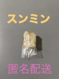 straykids スキズ SKZOO グミ&チャーム パピーム