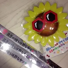 関ジャニ∞ペンライト銀て付き