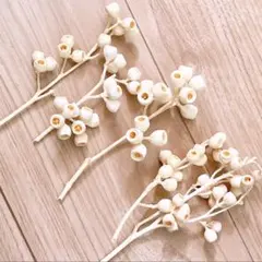 tamuco418様 リクエスト 3点 まとめ商品