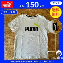 【PUMA】 (150) リユース品: Tシャツ ビッグロゴ ホワイト