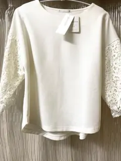 Item thumbnail for item 31fd4f26-af78-4a6e-9cc9-fa0b12c4239d