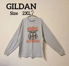 ヴィンテージ【GILDAN CACHE 】トレーナー 2XL グレーのサムネイル