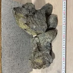 2026年最新】万天石の人気アイテム - メルカリ