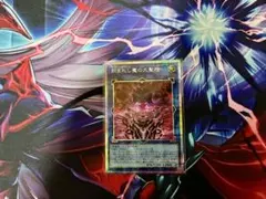 カレンだぜ様 リクエスト 2点 まとめ商品