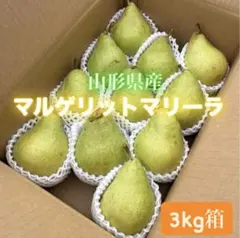 yenyen マルゲリットマリーラ　長野県産　家庭用　箱込み10kg 新鮮な洋梨 マルゲリット・マリーラ 長野県産箱込み5キロ - メルカリ
