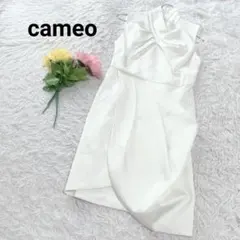 Item thumbnail for item 36bb45a9-6aa7-422a-826f-44ff18998a09